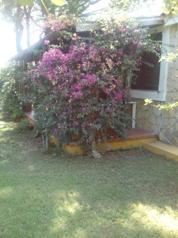 -Exclusive Private Villa- Villasimius Extérieur photo